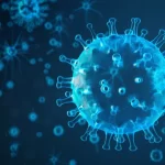 WHO: global public health risk of H5N1 Influenza remains low